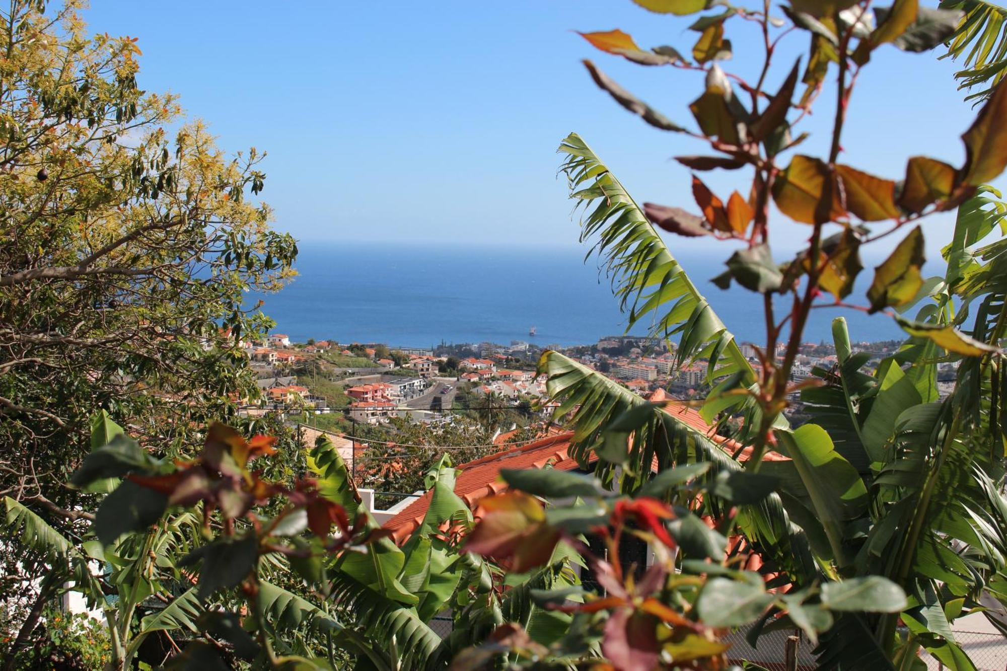 Alojamento Funchal - Silvestre House Екстер'єр фото